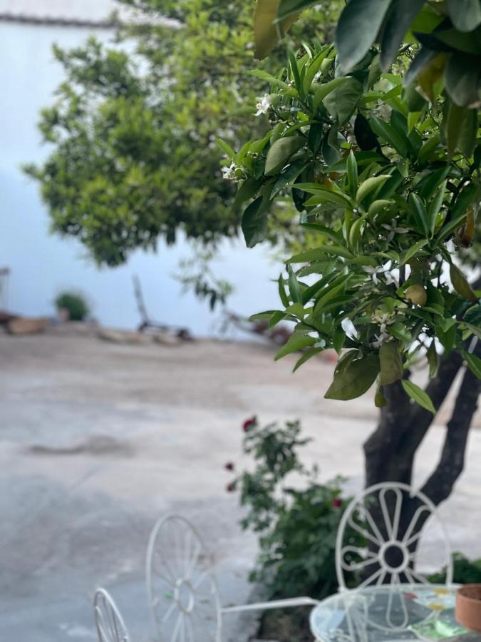 Casa Muriana Alanis Bagian luar foto